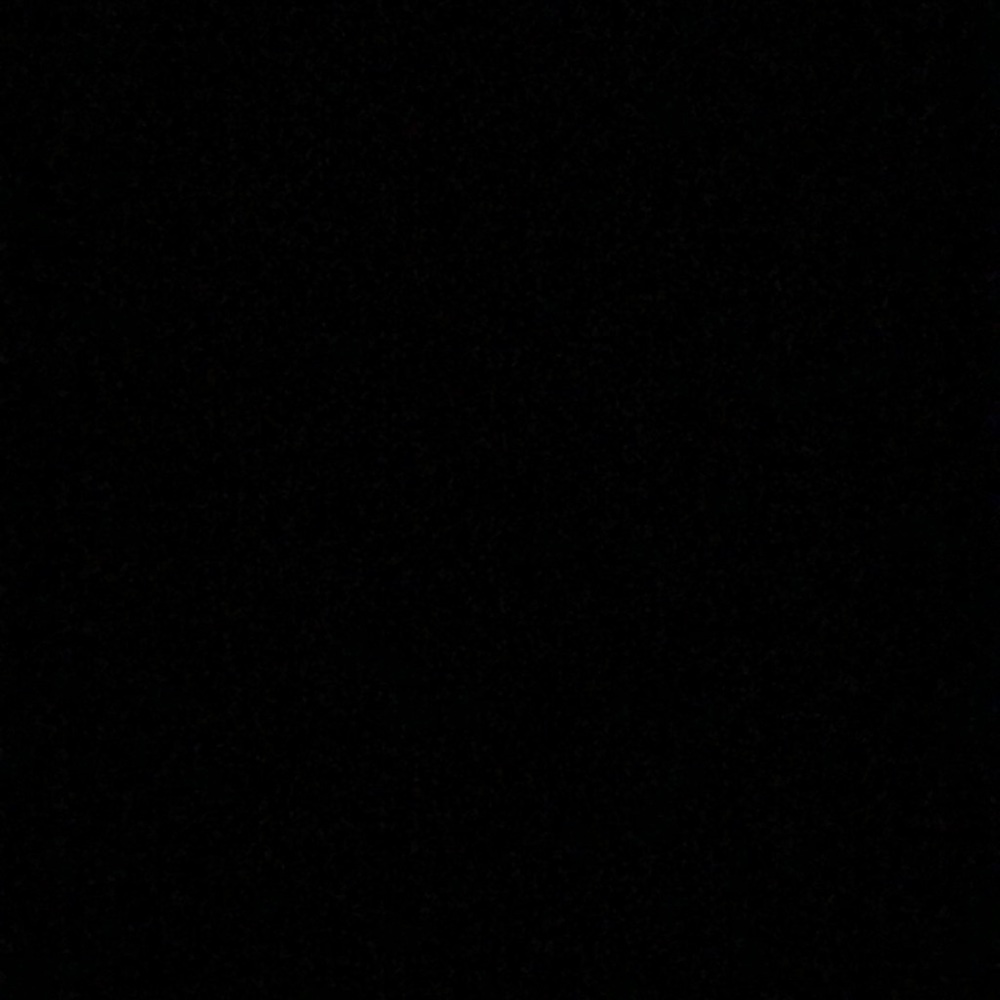 Meet your Posher, Raegan